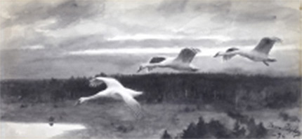 Bruno Liljefors: 'Vårnatt' (Night of spring) (1896)